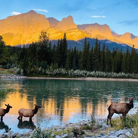 Unit #201 Cozy Mountain View 1Br In Dt Appartement Canmore Buitenkant foto